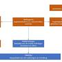 schema2.jpg